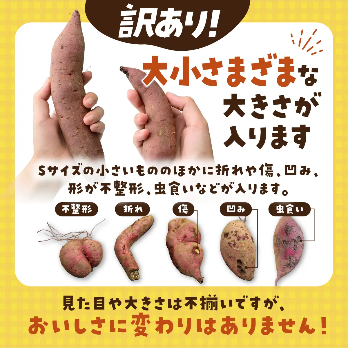 【訳あり】土付きさつまいも シルクスイート (無選別) 10kg | 新物 シルクスイート しるくすいーと