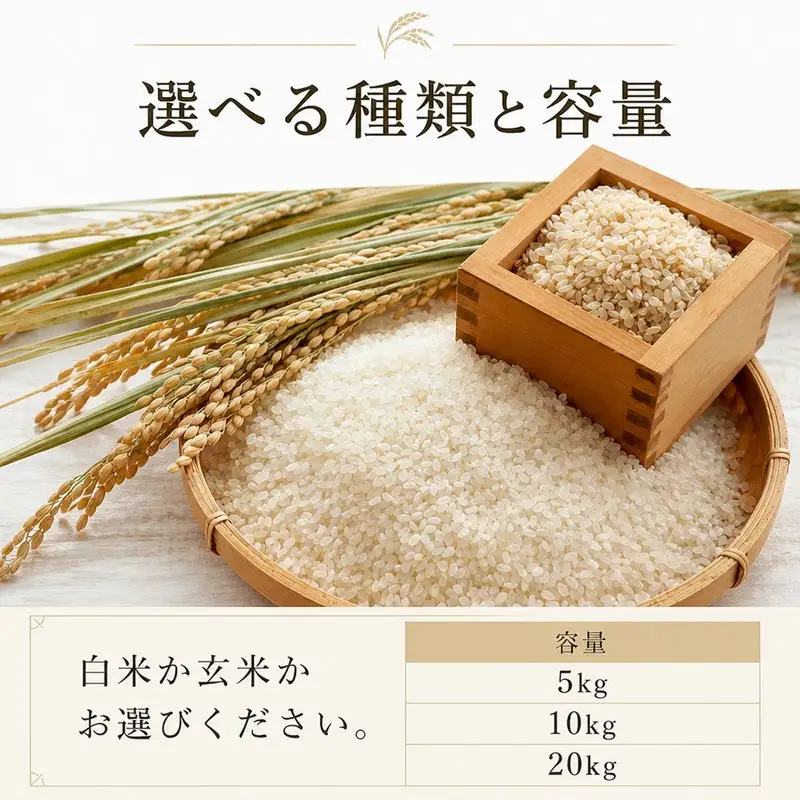 《令和8年産 新米 》  元気つくし 5kg 玄米 ｜米 TBS