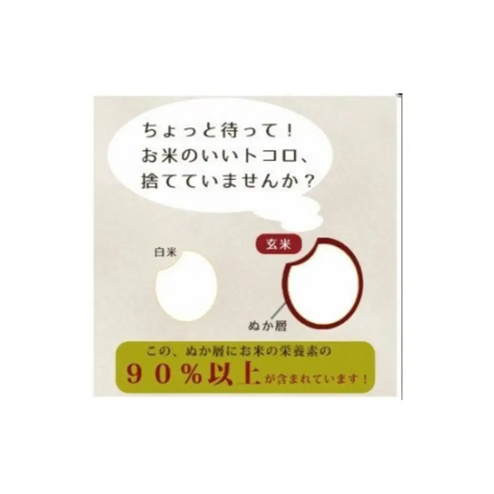 食べる米ぬかパウダー　ぬかだけん　50g 6袋セット