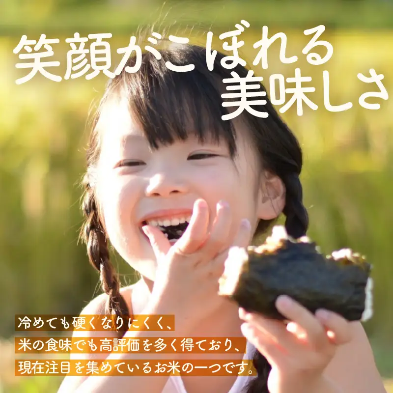 【先行予約】【令和8年産】定期便《3ヶ月連続お届け》精米 にこまる 5kg（計15kg）＜低農薬栽培＞ ／ 高品質 鮮度抜群 福井県 あわら市産 ブランド米 白米 お米 米 ※2026年10月中旬より順次発送 [aw066-b004]