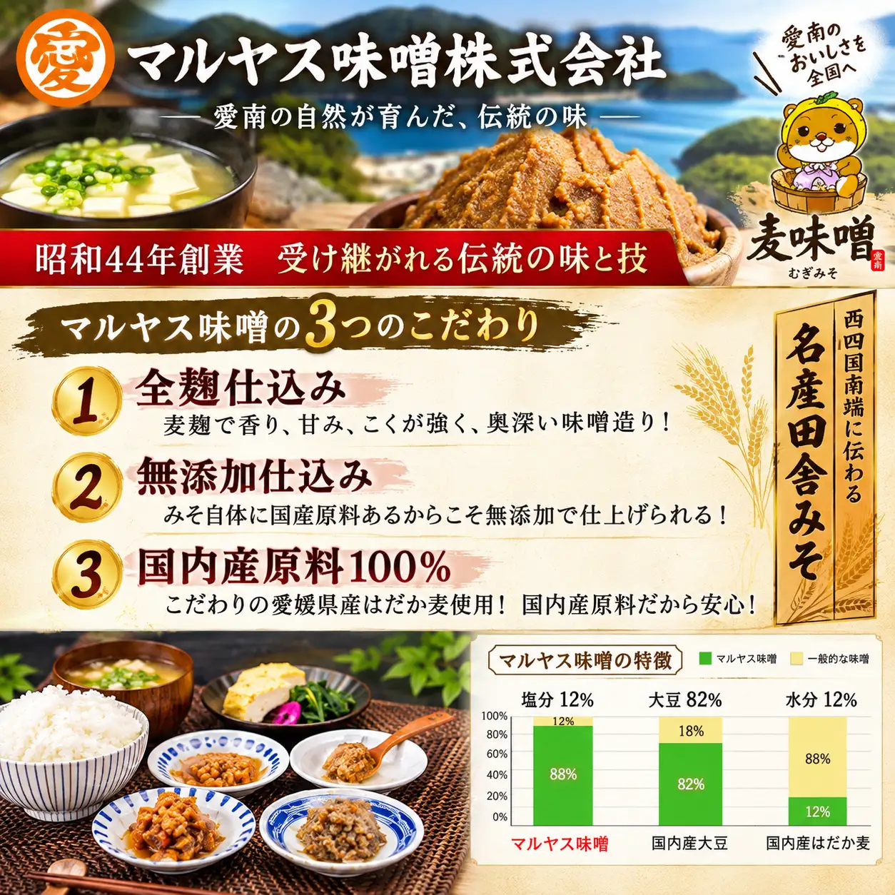 味噌屋ばあちゃんの田舎つゆ 16パック セット めんつゆ 小分け 使いやすい しいたけ うどん そば そうめん 何でも使える 愛媛 愛南 マルヤス味噌