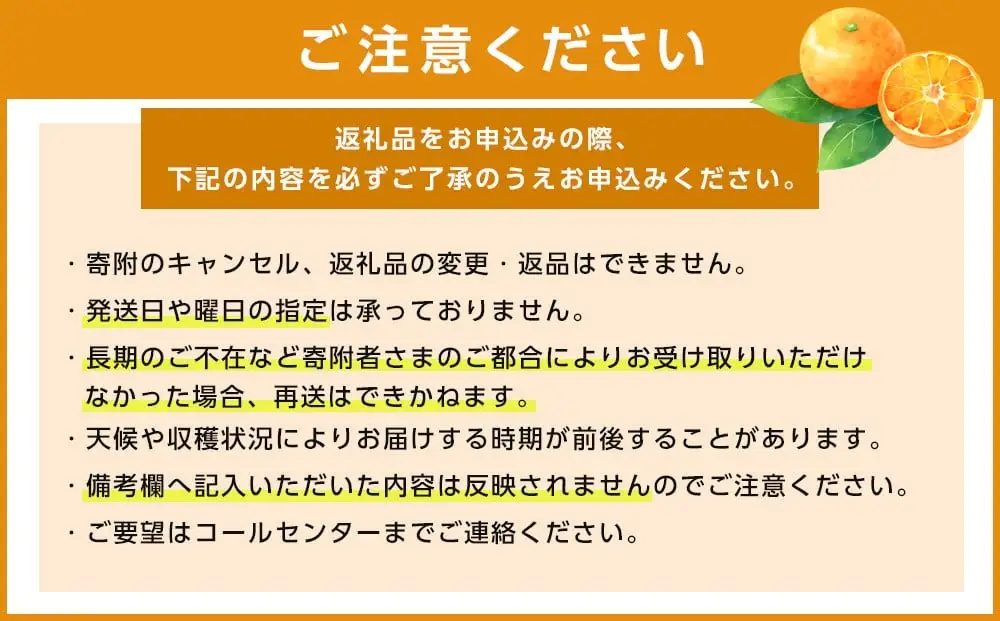 愛媛県産せとか（露地）約5kg 秀品 2L~M サイズ 【高島屋選定品】 【2027年2月中旬頃から順次発送】【IYT0542】