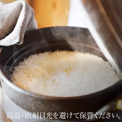 【隔月6回定期便】白米 5kg ななつぼし 一等米 精米 ブランド米 定期便 【令和8年産】 城守商店