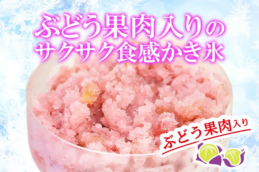 フタバ食品　アイス15個　サクレぶどう満足セット/人気返礼品 フタバ食品 福袋 スイーツ デザート 大容量 プレミアム 人気 お取り寄せ 限定品 オリジナル 食べ比べ 詰め合わせ 氷菓子 ぶどう 大人におすすめ 子供 おやつ 夏 ひんやり 一押し