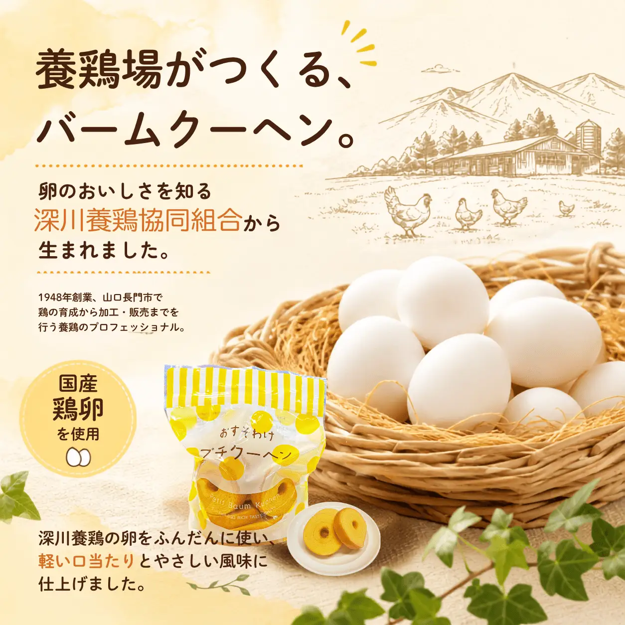 【お徳用】プチクーヘン 6袋セット｜プレーン・バナナ バームクーヘン お菓子 焼き菓子 詰め合わせ(10190)