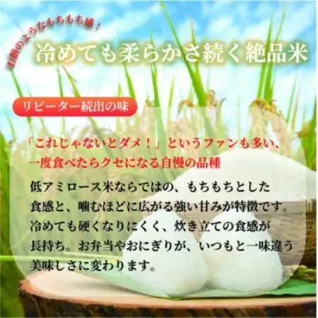 【令和8年産】ミルキープリンセス 10kg【1778366】