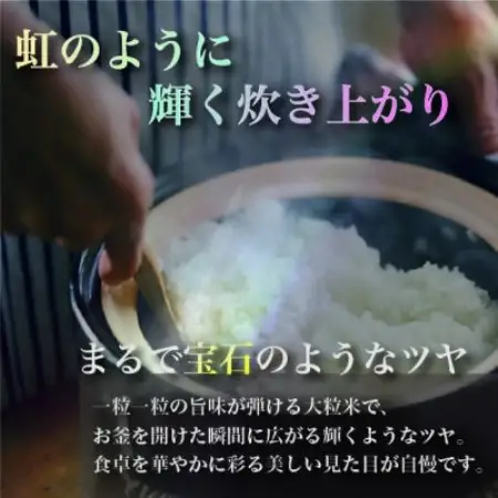 【令和8年産】にじのきらめき 5kg【1778367】