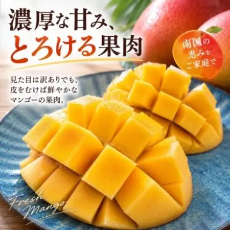 【2027年6月下旬から順次発送】マルトウマンゴーの訳ありアップルマンゴー2kg【配送不可地域：離島】【1781225】