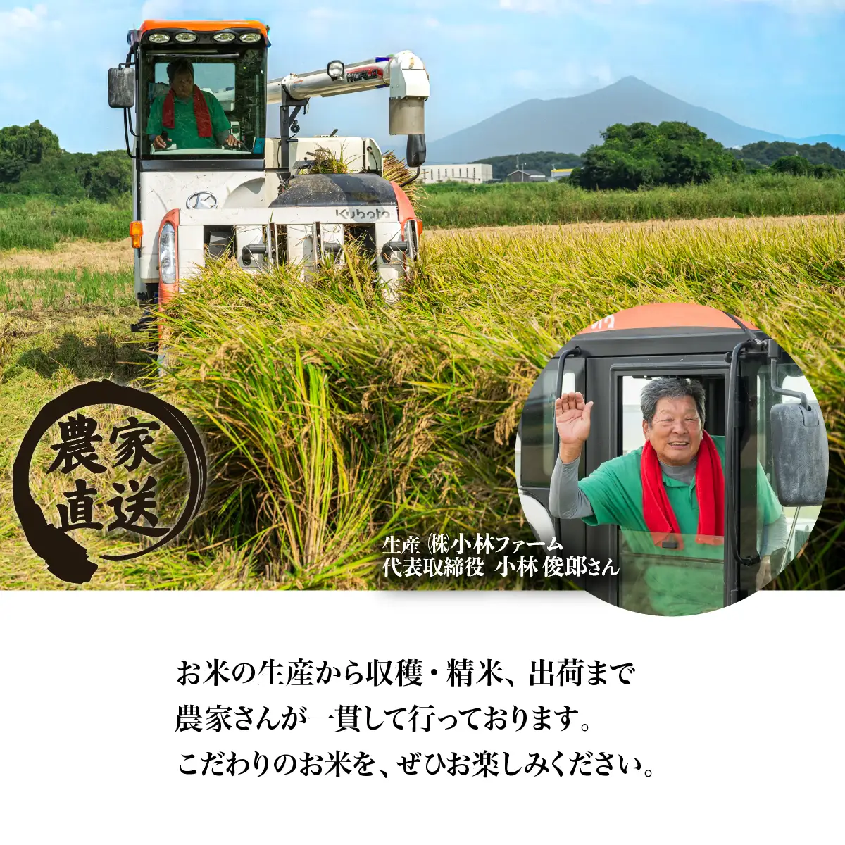 精米 5kg 令和8年産 コシヒカリ 茨城県 下妻市産