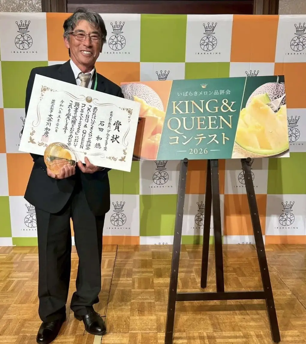 【2027年発送】 特大 青肉メロン 1玉 1.7kg以上 イバラキングメロン