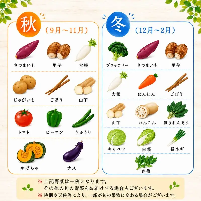 野菜セット 詰め合わせ おまかせ 10?15品目 野菜セット