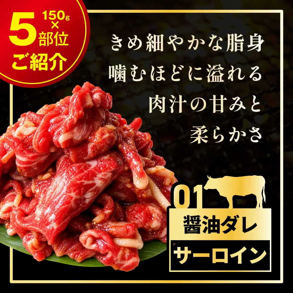 北海道産牛 色々な部位 焼肉セット 750g (150g×5袋)【a163-046】