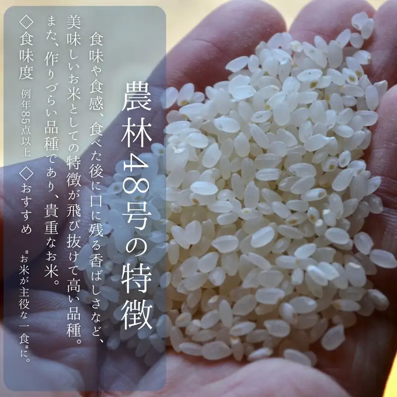 【令和8年度新米】八ヶ岳の余韻 農林48号 10kg×1袋 [h183]