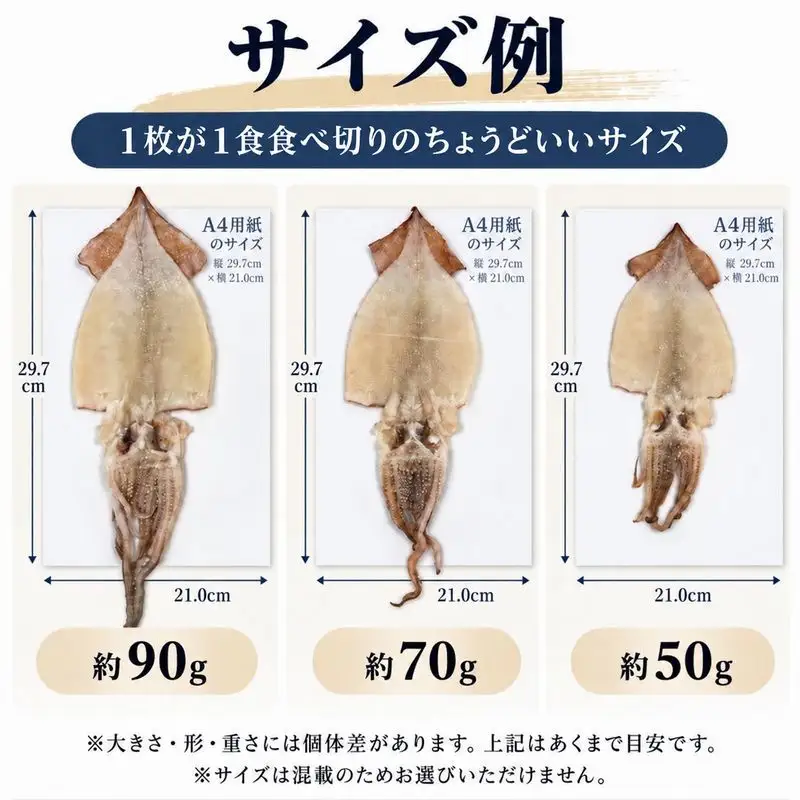 イカ 一夜干し 1.35kg以上