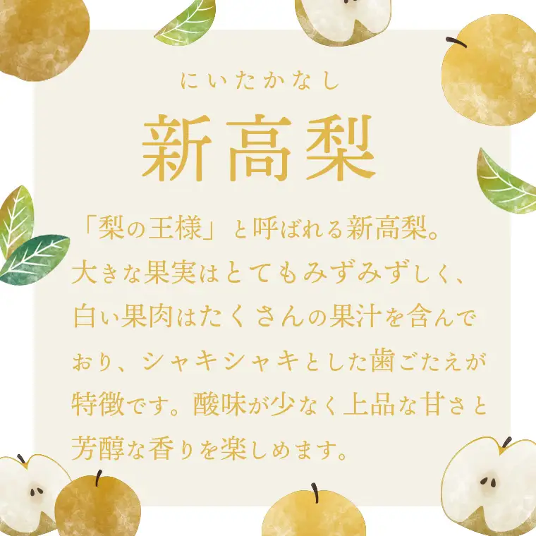 【訳あり】新高梨 約5kg 09月下旬発送  梨 家庭用