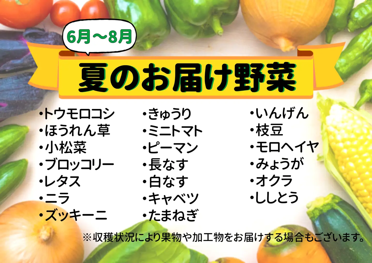 七宗町から発送　新鮮野菜詰めあわせセット(季節の野菜7～8種類) 七宗町ふるさと開発