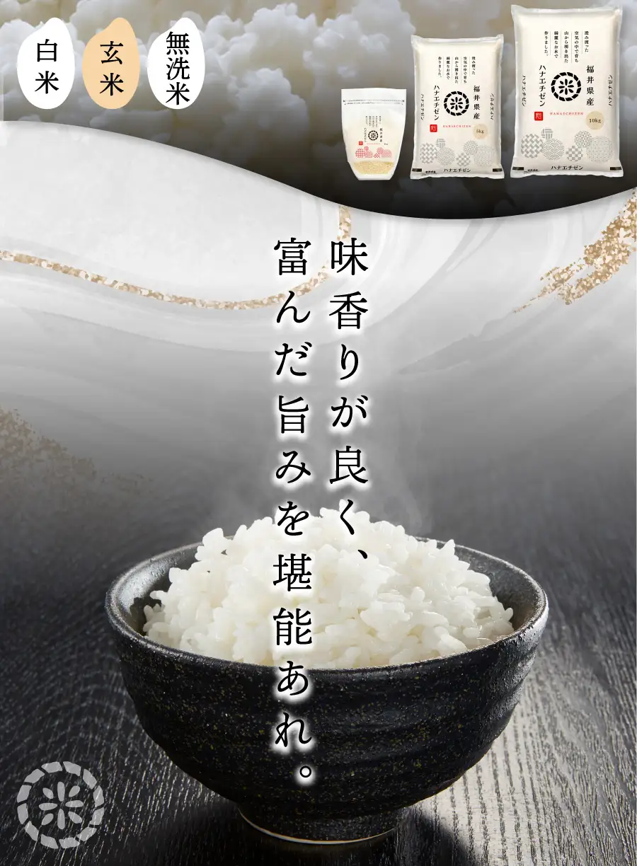 【定期便6回】ハナエチゼン 無洗米 3kg（1kg×3）令和8年産 [095-t06-a328]