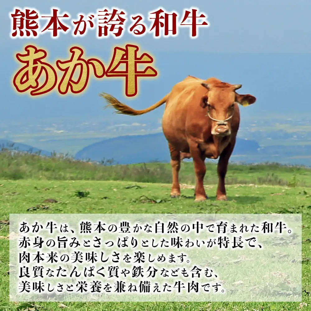 【定期便6回】煮込んでトロトロ あか牛 牛すじ 1kg×6回配送