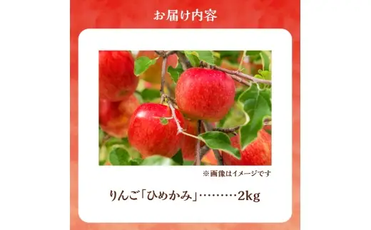【先行予約：2026年10月上旬より発送】りんご（ひめかみ）2kg【北海道余市町産】_Y103-0097
