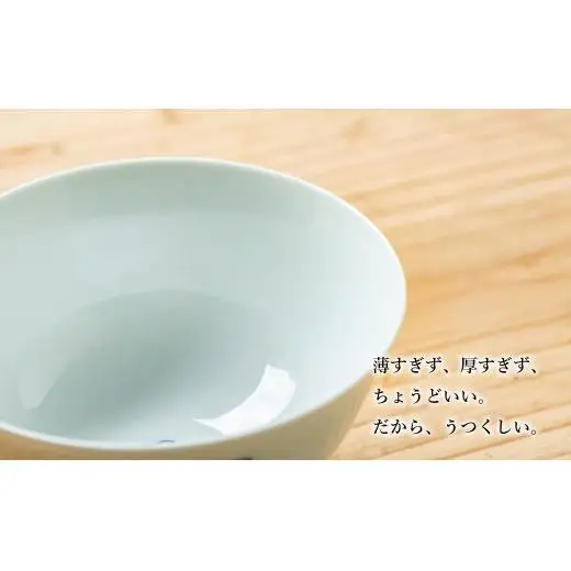 【 三川内焼 】千鳥 茶碗 2個セット 食器 茶碗 皿 焼物 G442p