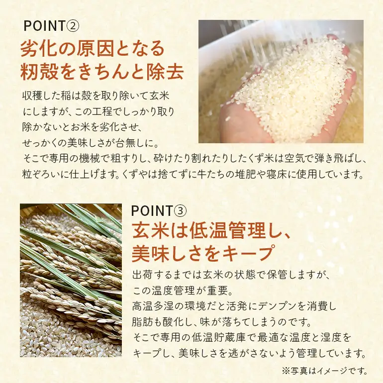 令和8年度産 ゆめひたち10kg 10月中旬～発送米 A31-016
