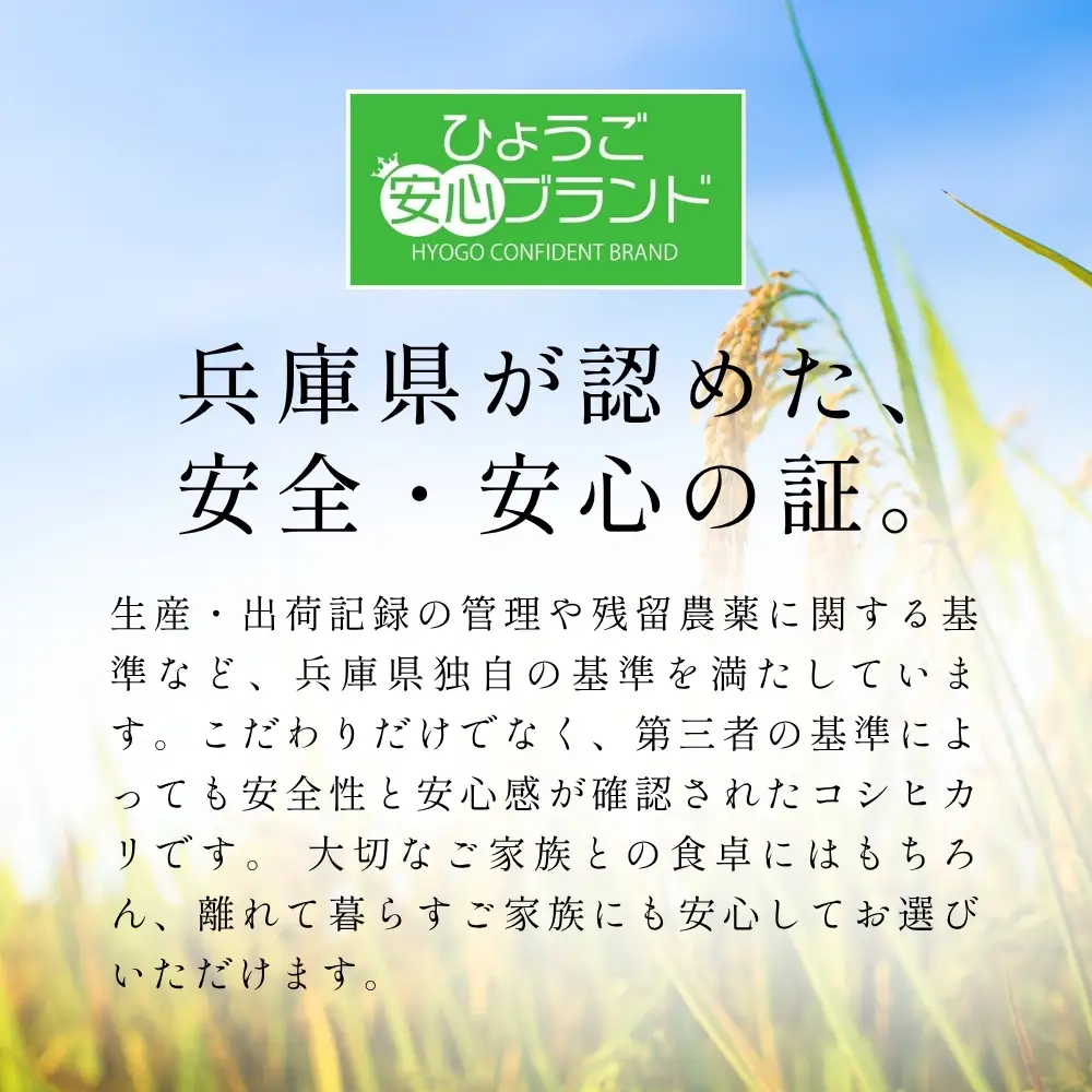 〈スピード発送〉新米 丹波コシヒカリ〈低農薬 80%減〉特別栽培米 5kg コシヒカリ