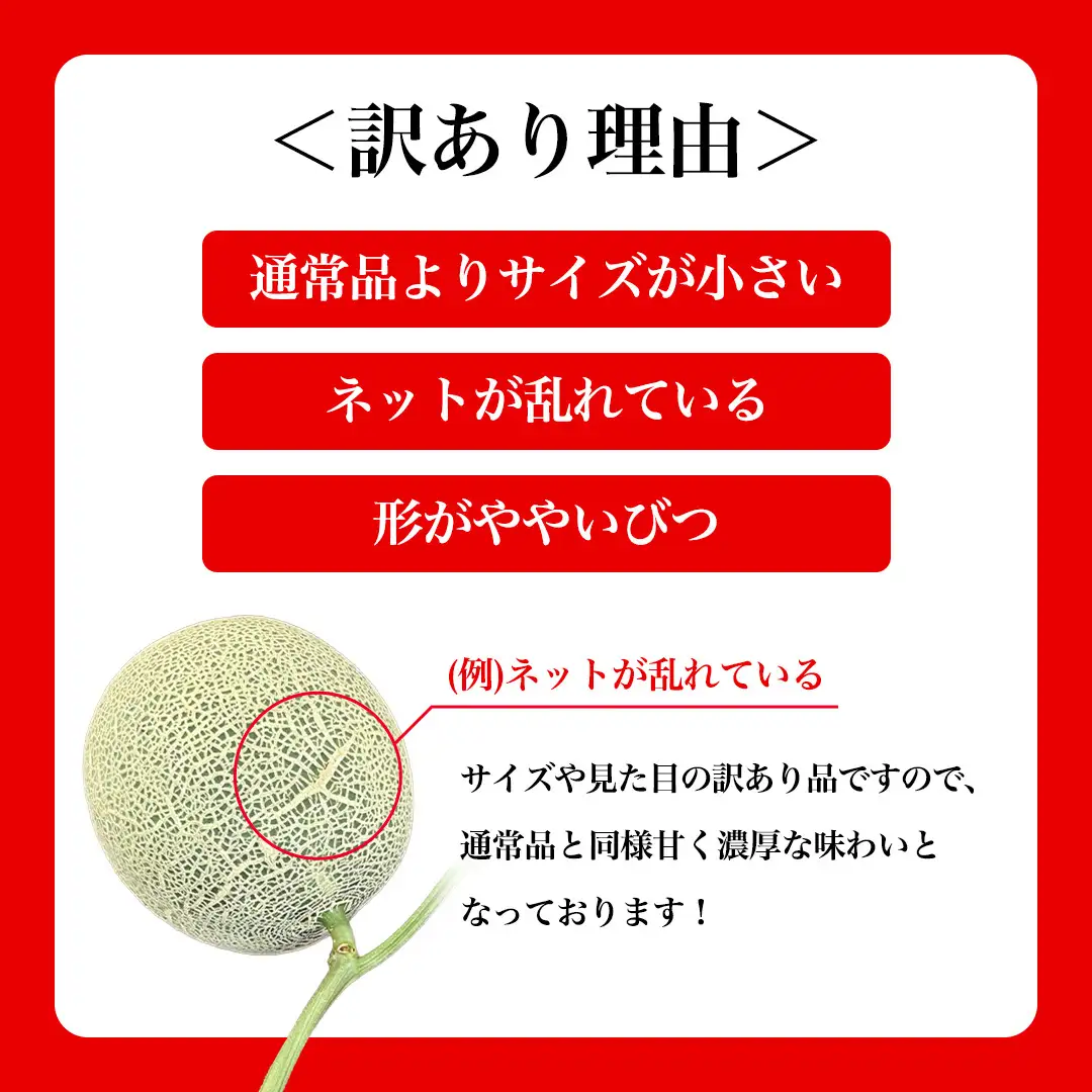 《 2027年 発送 》 訳あり アールスメロン 2玉 果物 フルーツ 青肉メロン マスクメロン メロン くだもの 訳アリ [BC098sa]
