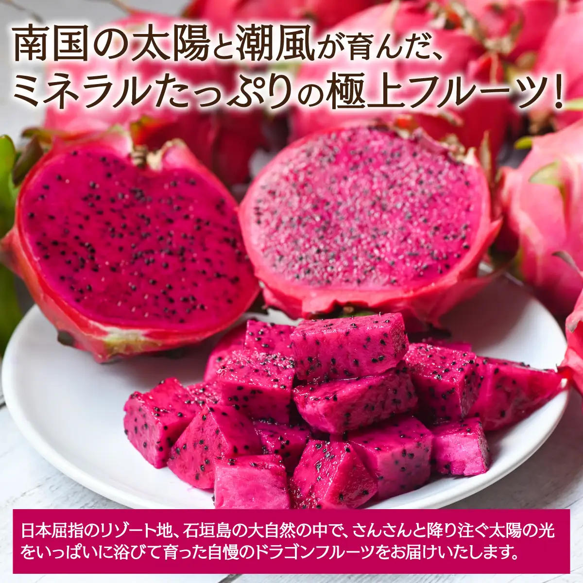【南国の恵み】石垣島産色鮮やかな赤ドラゴンフルーツ 大玉3～4玉 約1.2kg