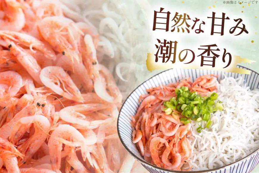 静岡県産 駿河湾 しらす 桜えび 極上品4種豪華セット（釜揚げしらす 釜揚げ桜えび 生しらす 生しらす沖漬け）計950g