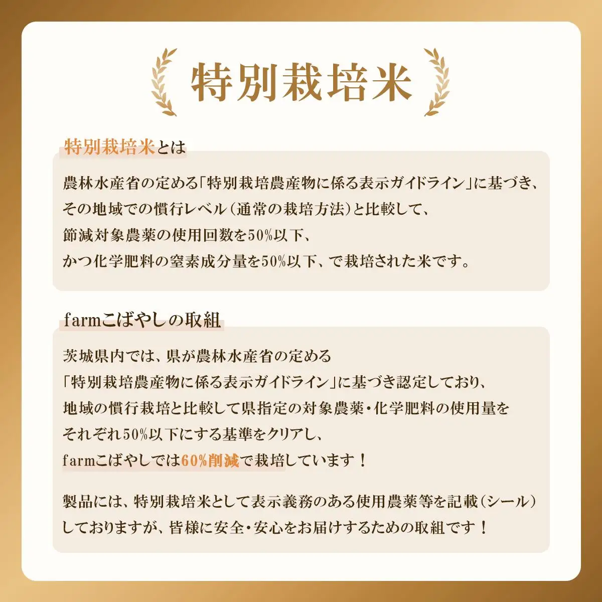 ミルキークイーン 新米 精米 5kg 11月出荷 ミルキークイーン