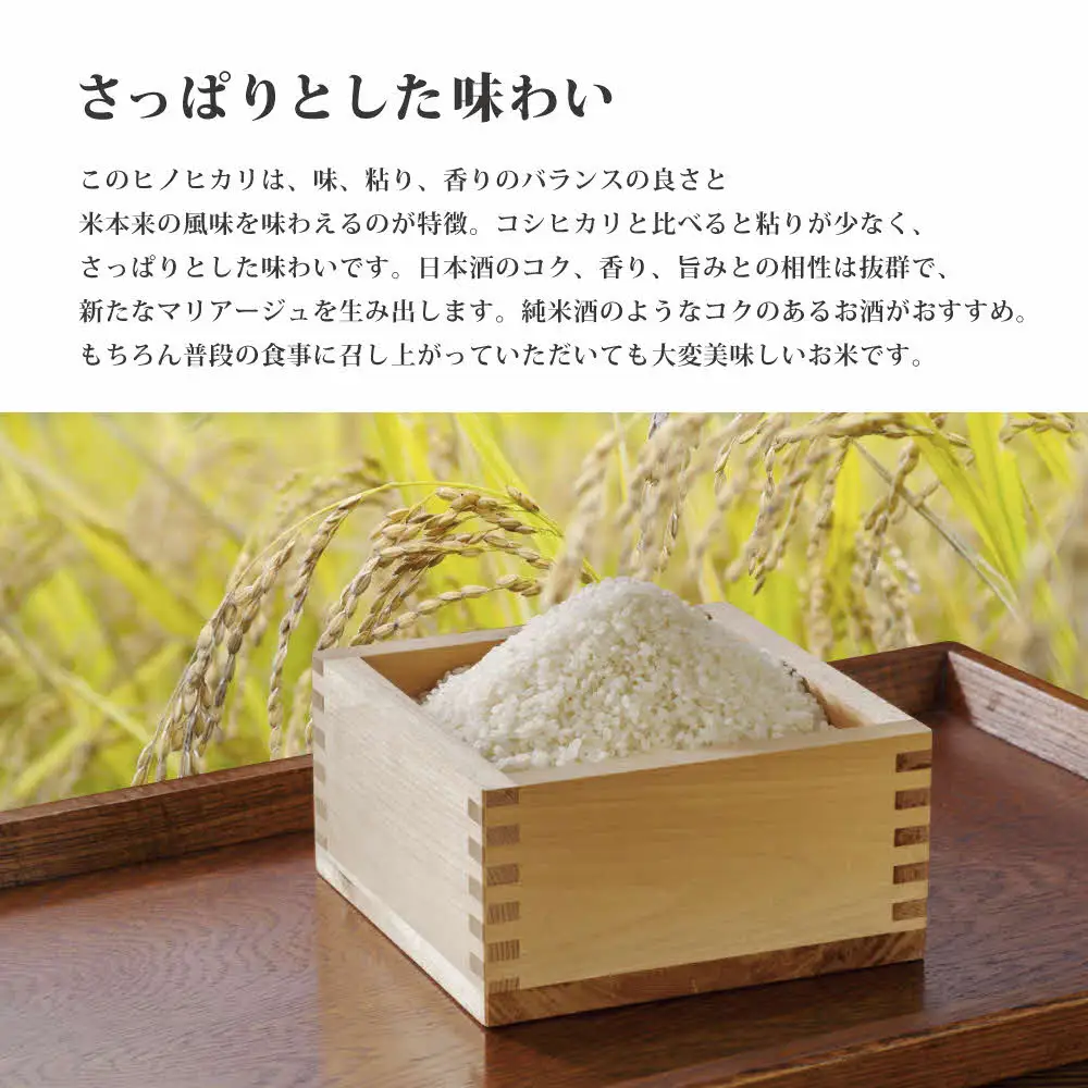 令和7年産 ヒノヒカリ 白米 5kg
