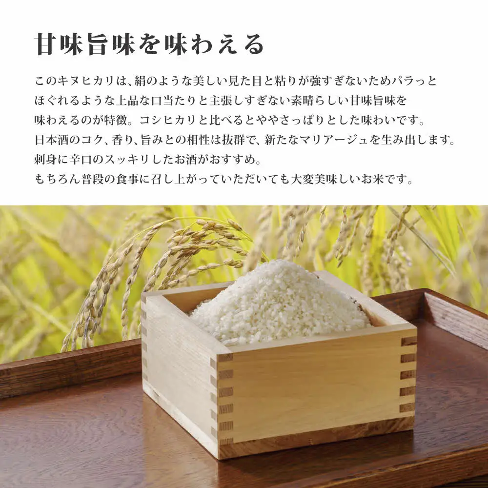 令和7年産 キヌヒカリ 白米 5kg