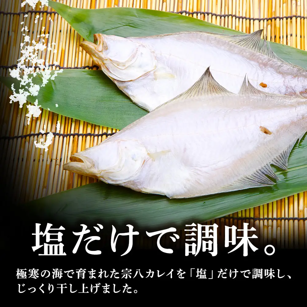 【定期便2カ月】宗八かれい一夜干 特大2枚入×5袋【配送不可地域：離島・沖縄県】