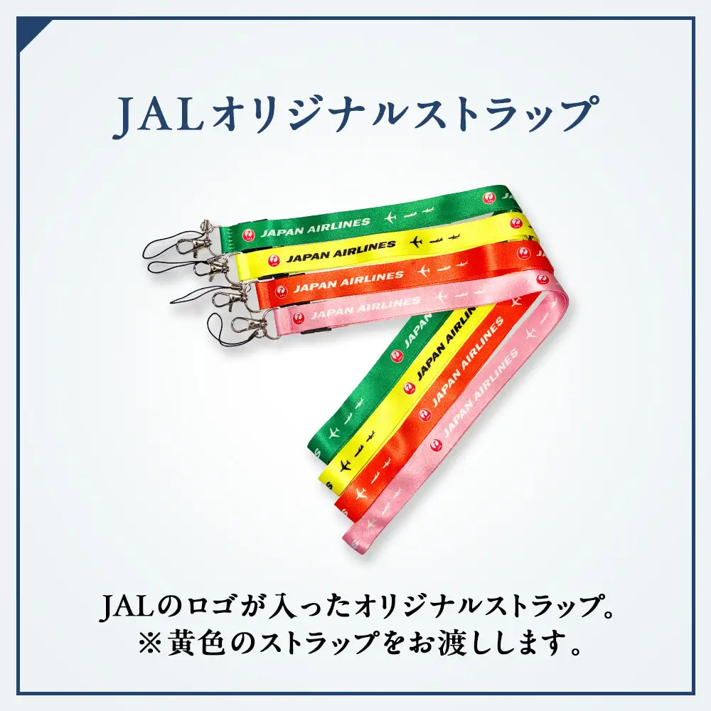 JALスタッフとめぐる新千歳空港バックヤード見学ツアー《2027年1月16日 催行》※総参加人数が2名様に満たない場合は催行中止とさせていただきます