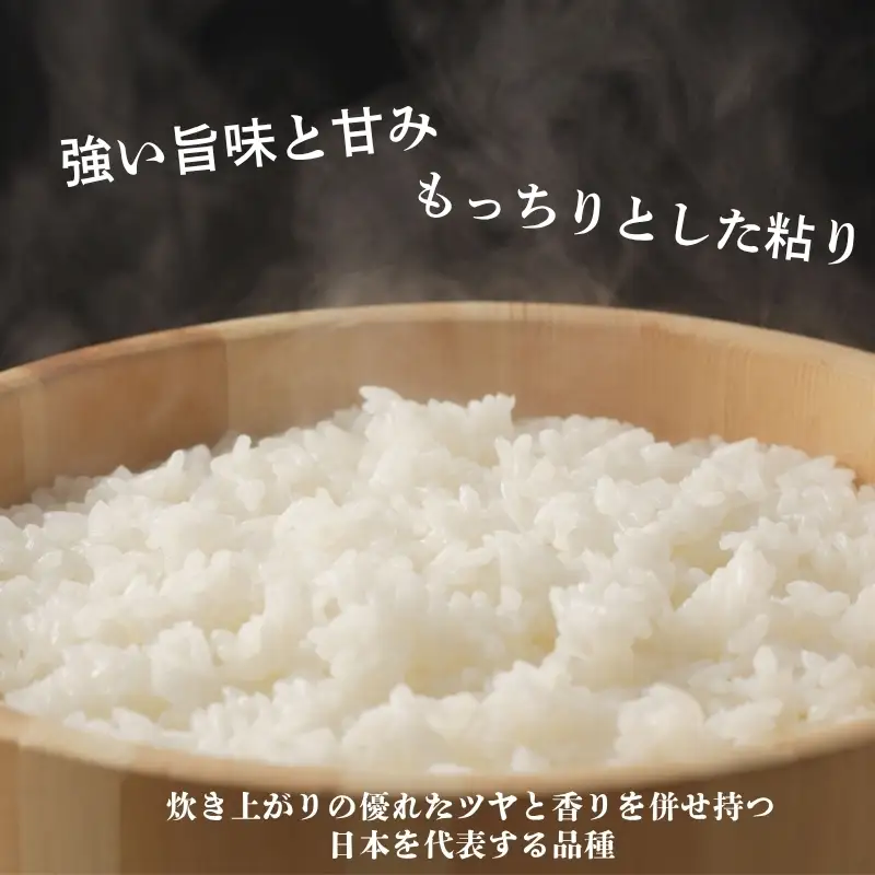No.3393アグリード 福島市産 コシヒカリ精米 10kg 6回定期便【令和8年産】