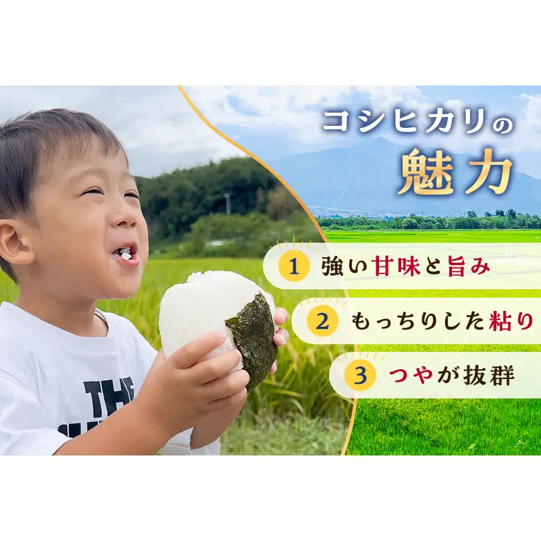 令和8年度産 静岡産 コシヒカリ 玄米 5kg 米 コメ こしひかり コシヒカリ 袋井市 静岡県