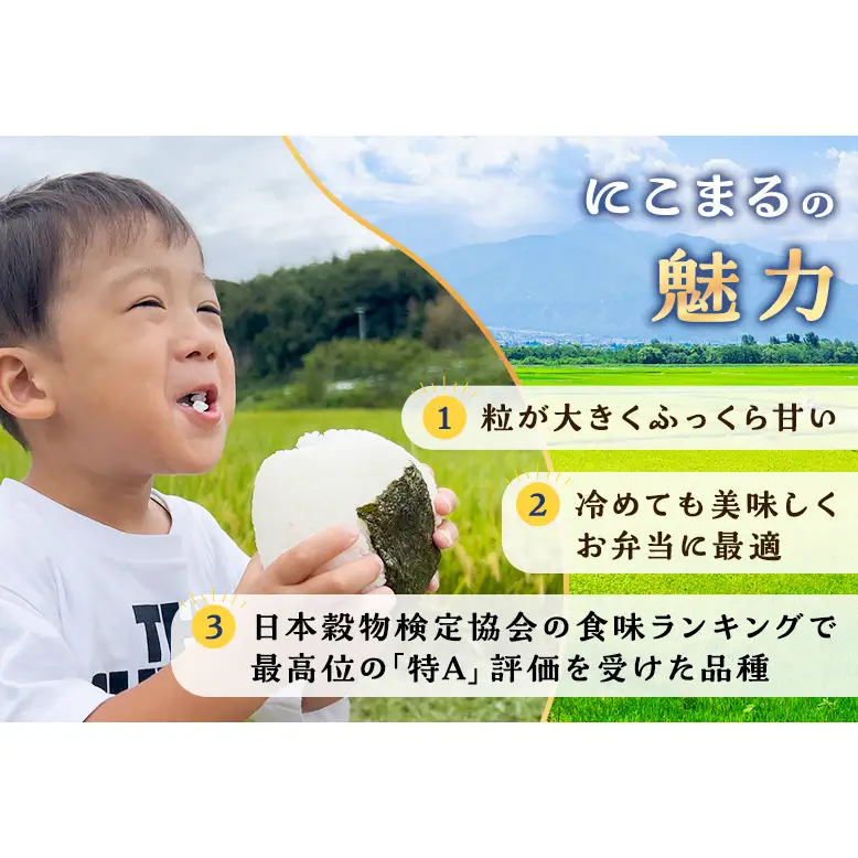 【予約】令和8年度産 静岡産 にこまる 玄米 定期便 10kg×3カ月 米 コメ にこまる 袋井市 静岡県