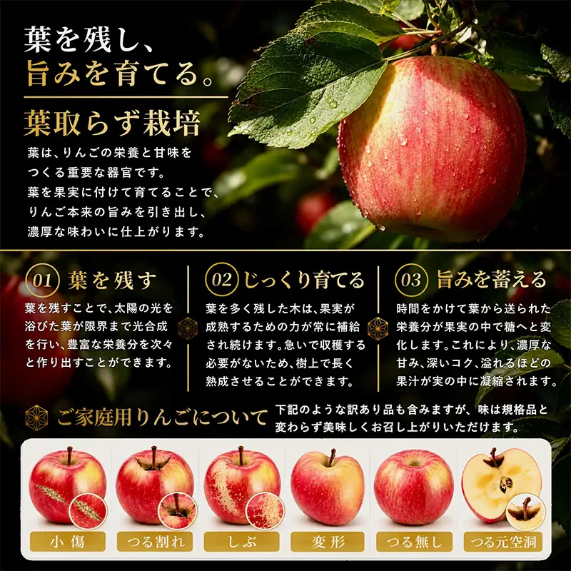 ≪先行予約≫ 【訳あり】 葉とらずサンふじ 中～大玉 約3kg (8～11玉) 【アップルアーク】 F41-0004