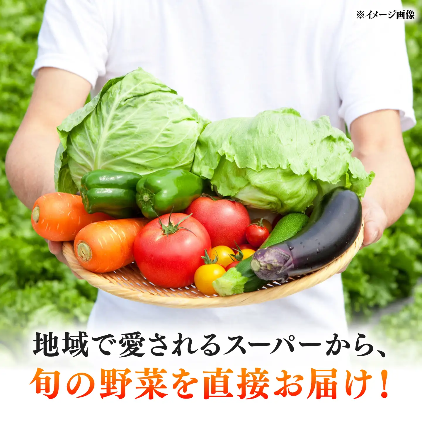 【12回定期便】＜配送時期が選べる＞採れたて野菜 お楽しみ便 ( 野菜 果物 きのこ 10品目以上 ) 野菜 フルーツ やさい 野菜セット 野菜定期便 旬 定期便 毎月 / 南島原市 / サンピア[SHB004]