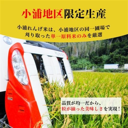令和8年産 新米】小浦れんげ米(にじのきらめき) 無洗米 2kg【1779278