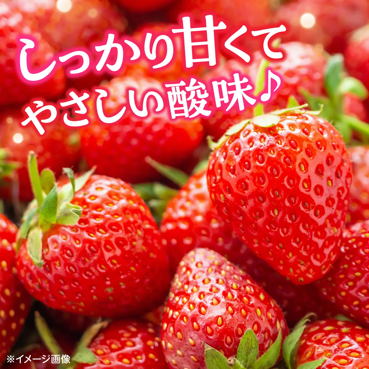 【先行予約】【2027年3月中旬より順次発送】いちご 恋みのり 百花園ファーム 約700g（約350g×2P）20粒/P Lサイズ 【株式会社合志百花園ファーム】[AYDW002]