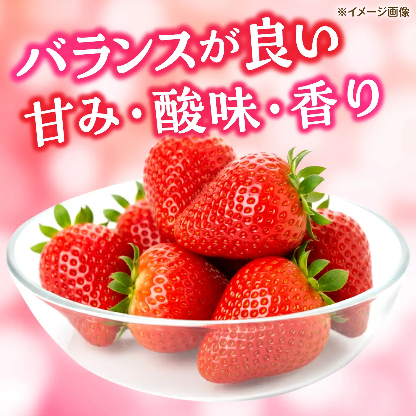 【先行予約】【2027年3月中旬より順次発送】いちご ゆうべに 百花園ファーム 約700g（約350g×2P）20粒/P Lサイズ 【株式会社合志百花園ファーム】[AYDW006]