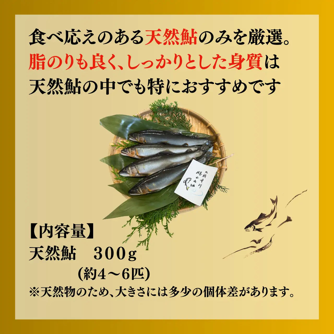 鮎 勝山市 九頭竜川産天然鮎 300g 