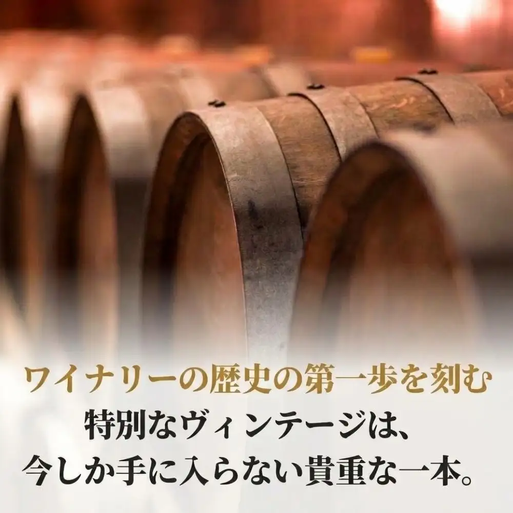 赤ワイン 2本 750ml ピノ・ノワール ツバイゲルト