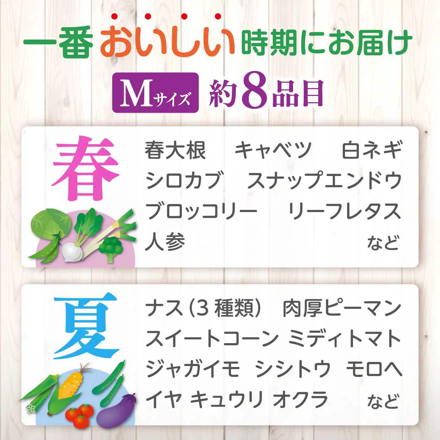 【4回】野菜定期便 8品目 野菜セット[ALBD008]