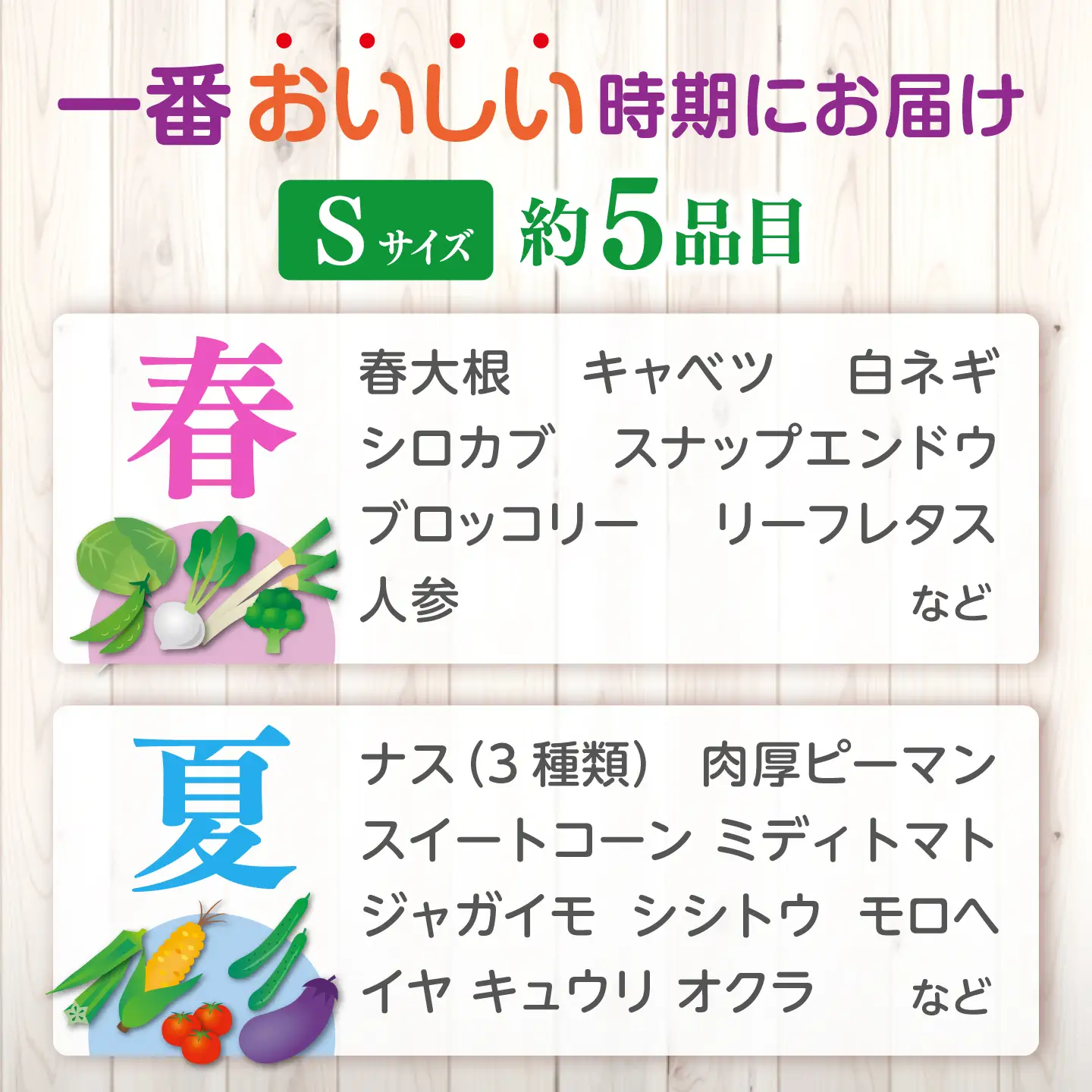 定期便/計12回 須山農園野菜（5種）【野菜】[ALBD013]