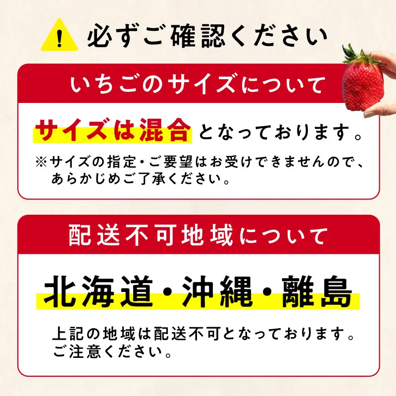 【2027年1月～2027年4月発送予定】【贈答用】朝摘みいちご 紅ほっぺ  1.2kg【ふるさと納税3.0】【117D-010-2027】