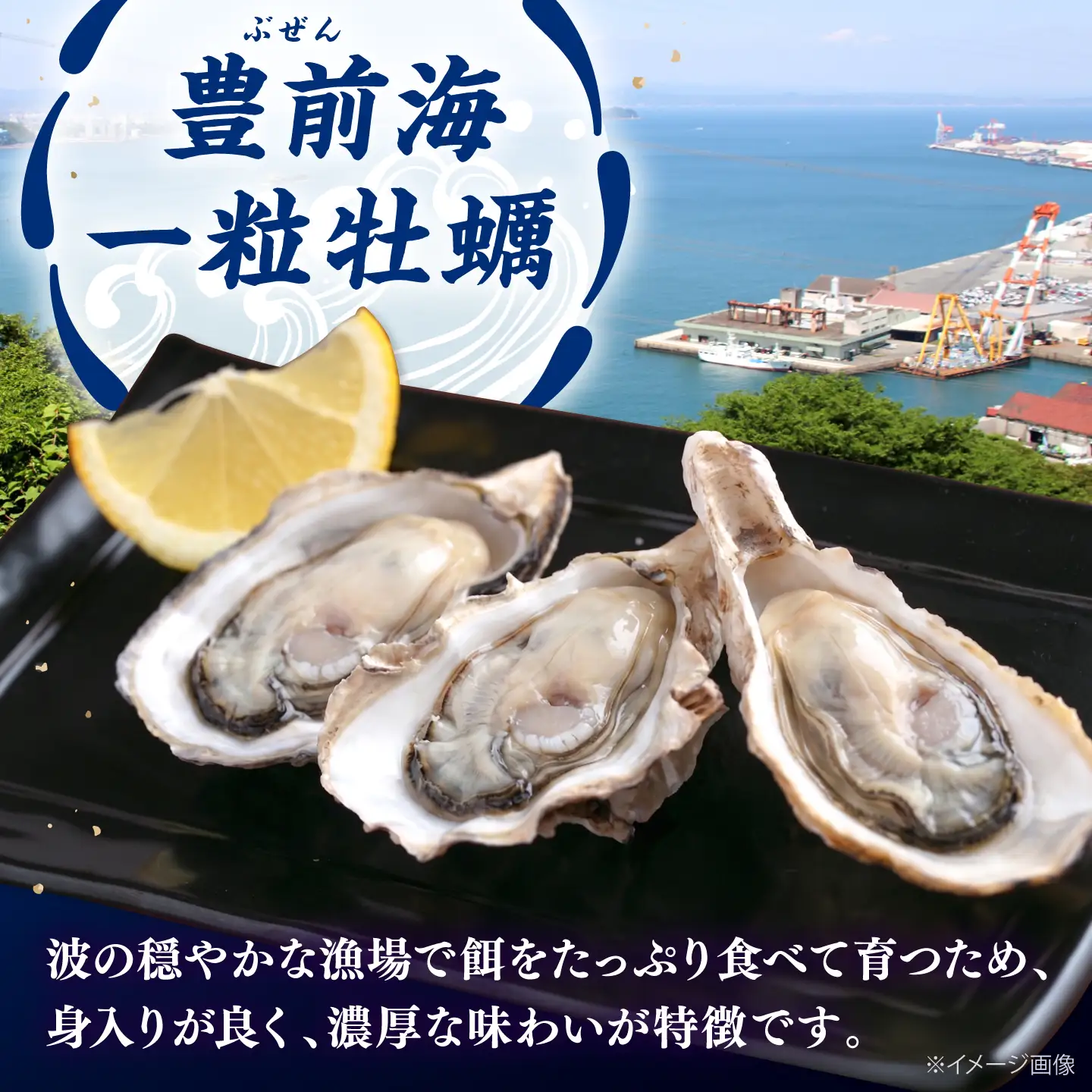【先行予約】豊前海 一粒 牡蠣 約500～600g×2パック BGBD004