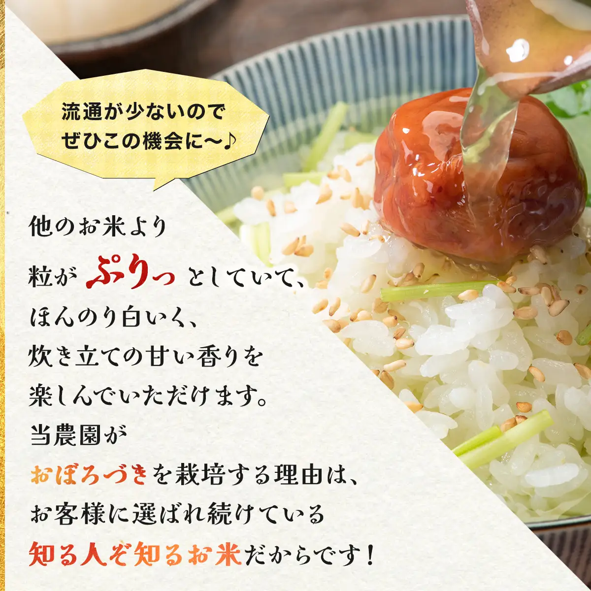 ＜令和8年産＞お米 おぼろづき 10kg｜『100%自家生産精米』善生さんの自慢の米 北海道 岩見沢市 精米 白米 新米【a104-119】