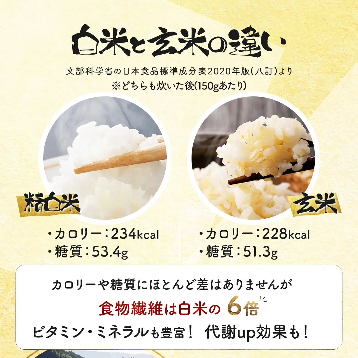 ＜令和8年産＞『100%自家生産玄米』善生さんの自慢の米 玄米おぼろづき 10kg｜北海道 岩見沢市 お米 新米【a104-120】